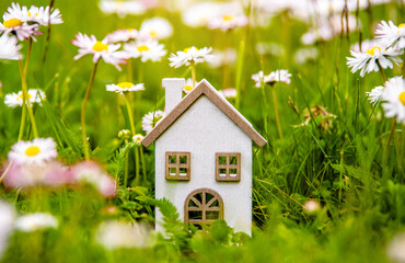 The symbol of the house stands among white daisies

