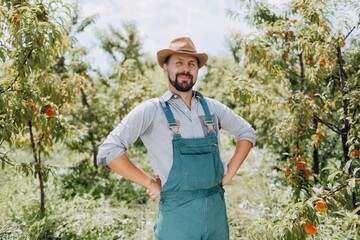 Fototapeta premium Satisfied man at peach orchard