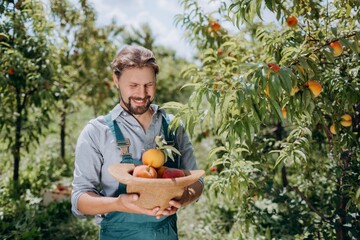 Farmer with peaches outdoors