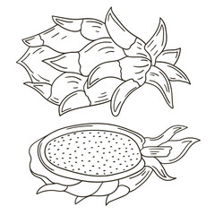 Set of vector illustrations in hand drawn style. Coloring poster with fruits