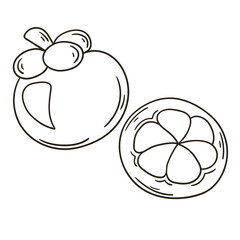 Set of vector illustrations in hand drawn style. Coloring poster with fruits