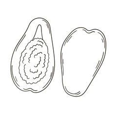 Set of vector illustrations in hand drawn style. Coloring poster with fruits