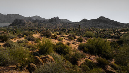 Rugged desert mountain landscape in Tonto National Forest in Arizona