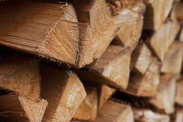 Forest wood for home heating, close-up.