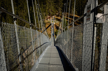 suspension bridge in austria