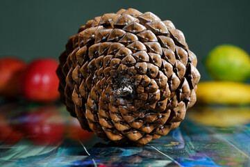 biological example of fibonacci spirals at a pine cone. Setup with reflecting table.