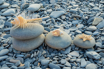 Summer holiday on beach of pebbles. Shells and starfish on large stones are illuminated by last...