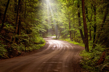 A Road Less Traveled - Powered by Adobe