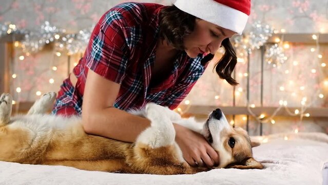 Woman in Santa hat scratching happy Corgi dog belly. Gifts and Christmas decorations against the garland lights background. New Year and Christmas concept. Waiting for the holiday. 