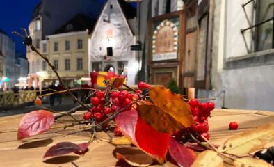  Autumn evening city , leaves red rowan berry on wooden table in old town Tallinn at evening medieval city 