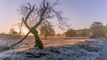 Herbst in der L&uuml;neburger Heide 