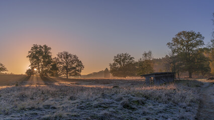 Herbst in der L&uuml;neburger Heide 