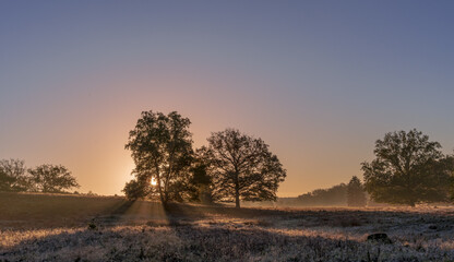 Herbst in der L&uuml;neburger Heide 