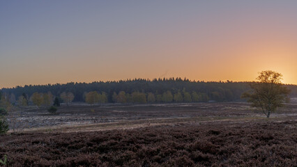 Herbst in der L&uuml;neburger Heide 