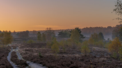 Herbst in der L&uuml;neburger Heide 