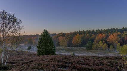 Herbst in der L&uuml;neburger Heide 