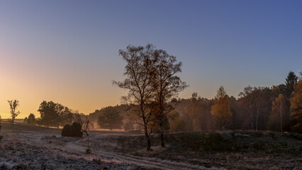 Herbst in der L&uuml;neburger Heide 