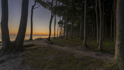 Gespensterwald Nienhagen 