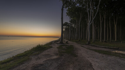 Gespensterwald Nienhagen 