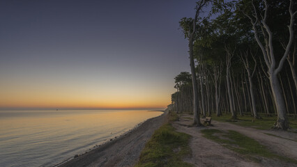 Gespensterwald Nienhagen 