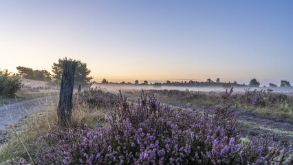 L&uuml;neburger Heide im Nebel