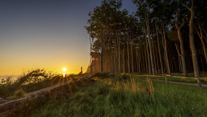 Gespensterwald Nienhagen