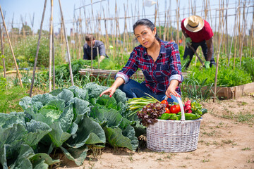 Young woman gardener holding basket with harvest of fresh vegetables in rural