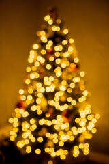 &copy;2021 Gui Urban