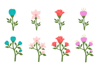 Fototapeta premium Set of Flowers