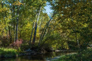 Travelers Rest State Park