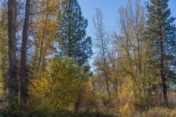 Travelers Rest State Park