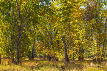 Travelers Rest State Park