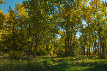 Obraz premium Travelers Rest State Park