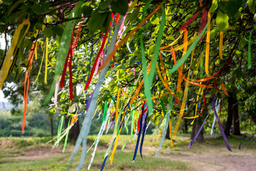 Colored wish ribbons tied on the branches of a tree