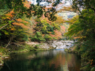 渓谷　奥津渓　岡山県　奥津温泉　紅葉