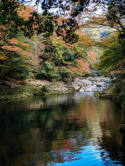 渓谷　奥津渓　岡山県　奥津温泉　紅葉