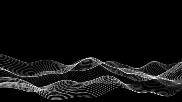 New white line wave motion