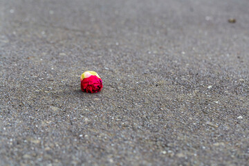 Close-up of red flower on the pavement