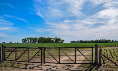 siembre en campo de trigo con cielo con nubes