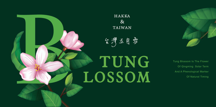 beautiful tung blossom;May snow of Taiwan;Hakka of Taiwan