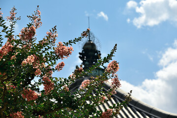 buddhist temple roof of Nanendo-hall, Kohfuku-ji with myrtle flowers