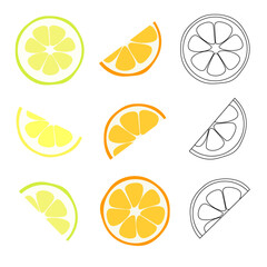 Vector illustration of citrus fruit.