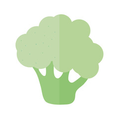 broccoli vegetable food