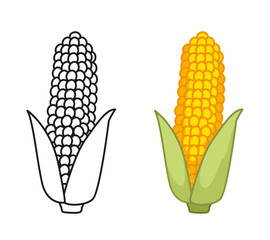 Corn on the cob, black line and color set. Coloring book for children's educational task. Vector illustration of a vegetable in a cartoon childish style. Isolated funny clipart on white background.