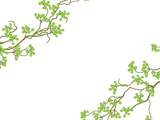 サンキライのフレーム①ななめ_緑