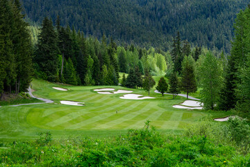 Fairway, sand traps, and green nestled into an alpine woodland, golf course background
