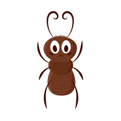 ant insect cartoon