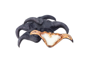 Water caltrop or horn chestnut or water chestnut isolated on transparent png