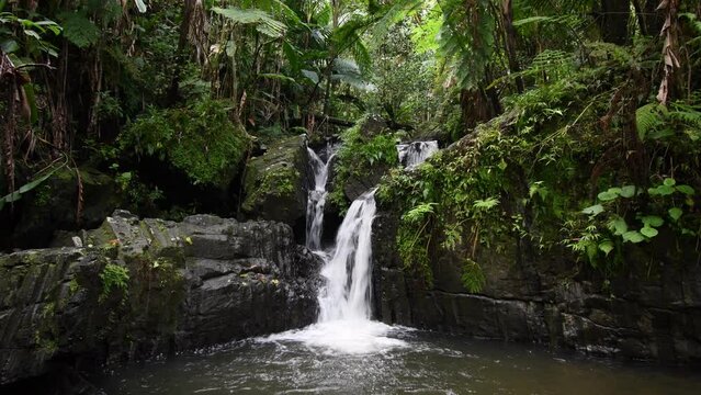 Hidden waterfalls in El Yunque Rainforest on the island of Puerto Rico, the only tropical rain forest in the United States National Forest System.