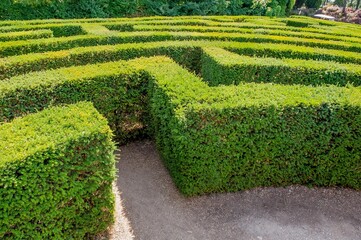 Labyrinth in botanical garden